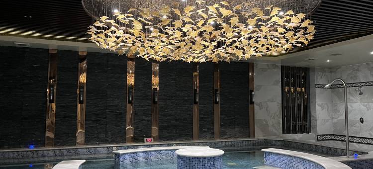 奥斯顿酒店(宝鸡会展中心店)图片