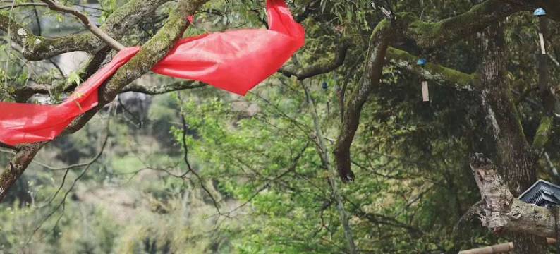 张家界秘境度假酒店图片