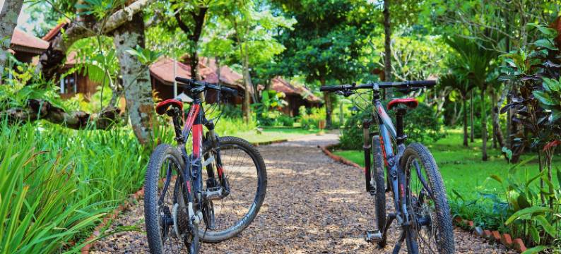 拉夫列小屋(La Folie Lodge)图片