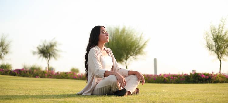 禅宗健康度假村(The Zen Wellness Resort)图片