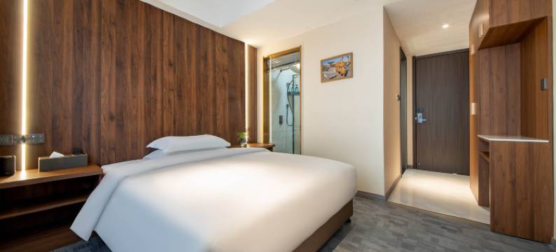 锦舍智能客房(西安大雁塔店)图片