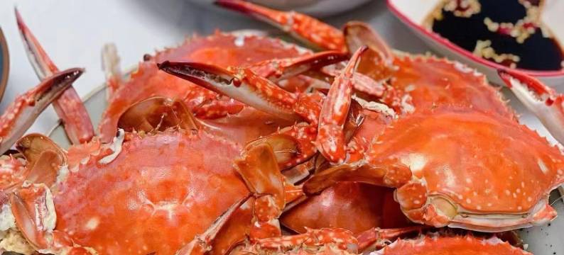 南戴河瑞吉旅馆图片