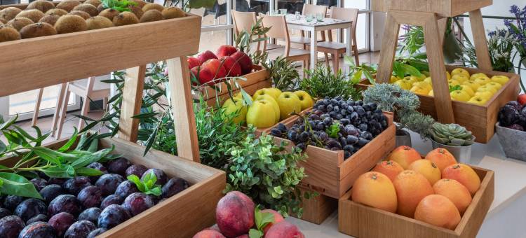 索尔米兰企鹅酒店(Sol Milanos Pinguinos)图片