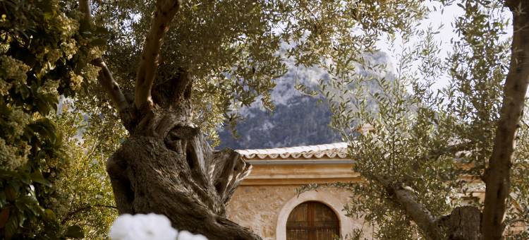 拉瑞兹登西亚，贝梦德酒店，马略卡岛(La Residencia, A Belmond Hotel, Mallorca)图片