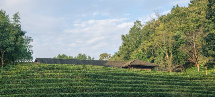 桃花源云舍度假村图片