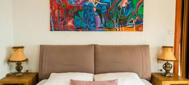 雪绒花别墅(Villa Edelweiss)图片