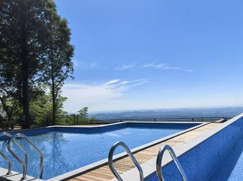 浙江莫干山庄(莫干山风景区店)图片