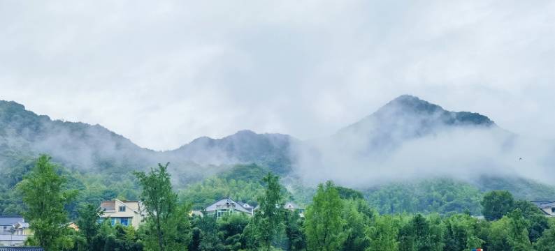 杭州又一邨青庭民宿图片