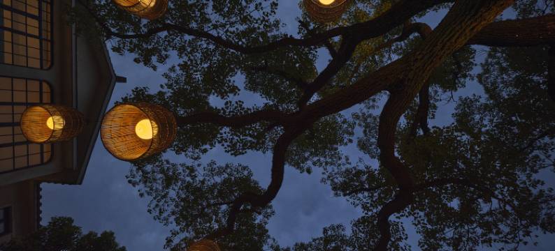 上海前院后院民宿(奥特莱斯店)图片