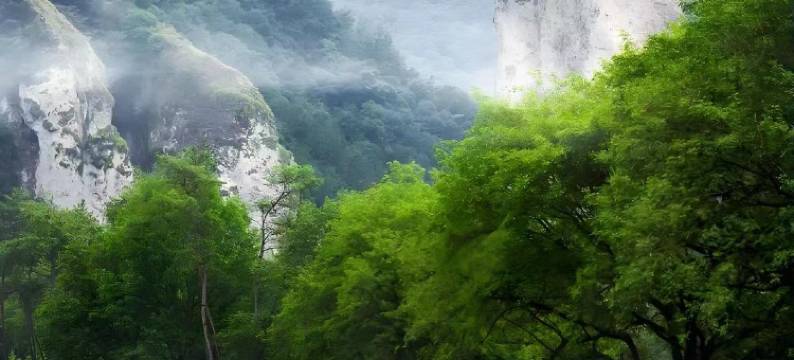 缙云忆佳精品酒店(壶镇店)图片