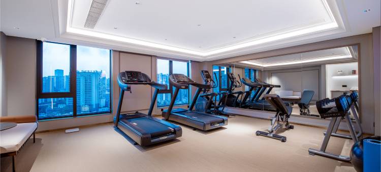 重庆大坪龙湖时代天街美居酒店图片