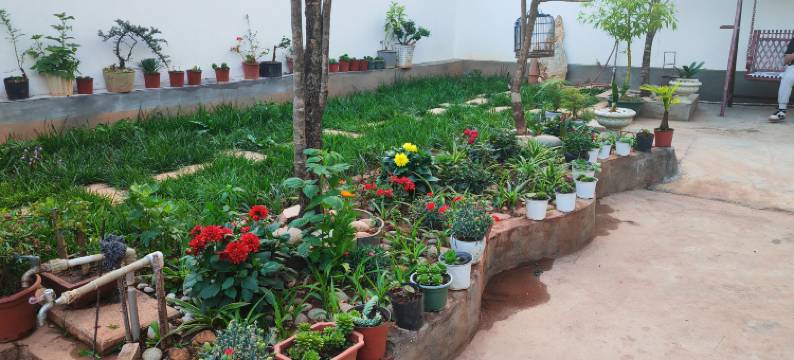 随心便签民宿图片