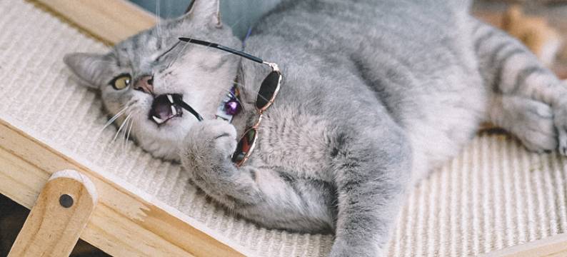 清莱睡眠屋旅馆(Sleepy House Chiang Rai)图片