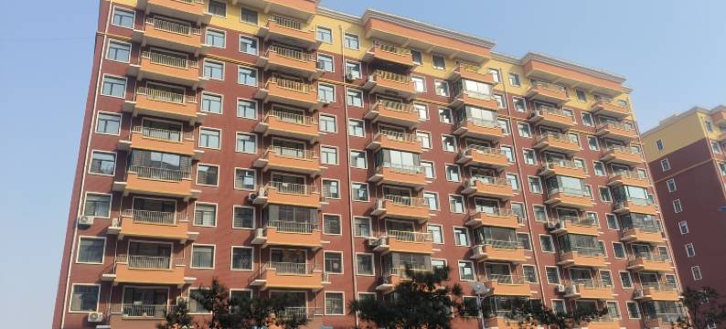 凌海三只猫民宿图片