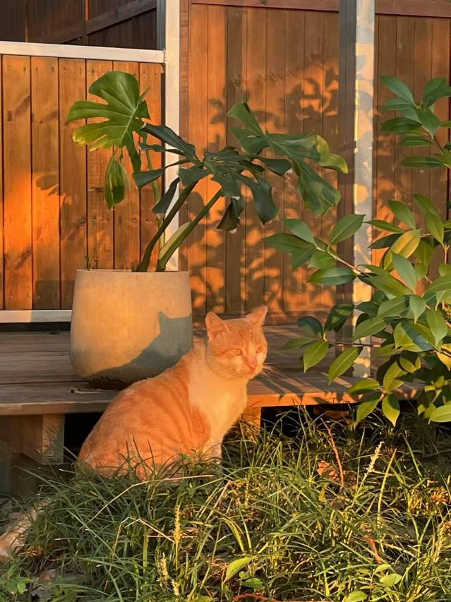 大乐之野(昆山锦溪店)图片