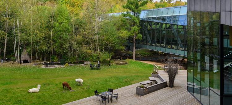 长白山在之禾度假酒店·二道白河店图片