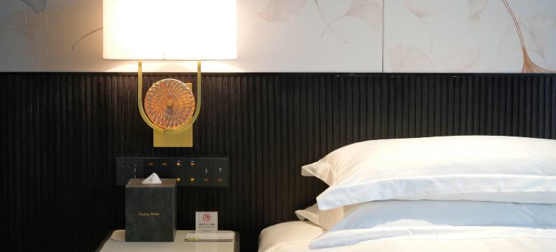 珠海朗悦酒店(奥园广场明珠站店)图片