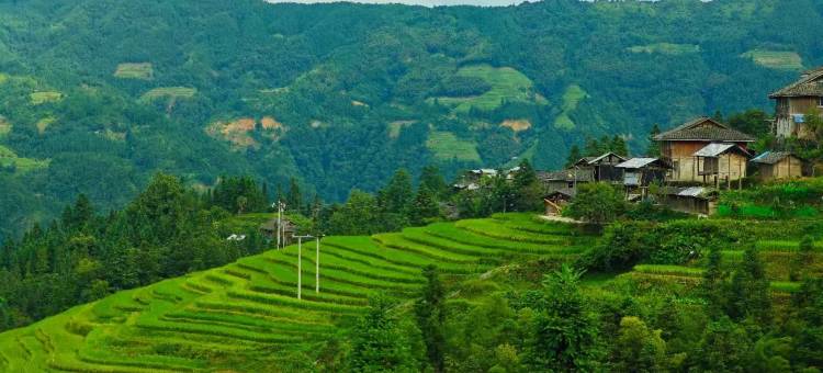 加榜梯田云水间客栈图片