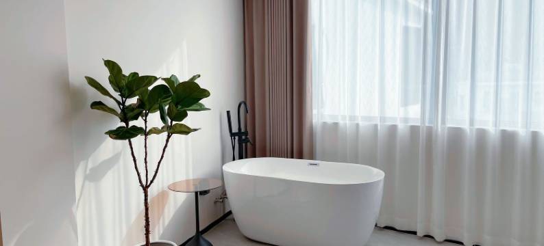 大新伴山庭酒店图片