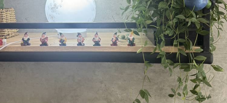 长春蓝鲸宾馆(东方广场光华学院店)图片