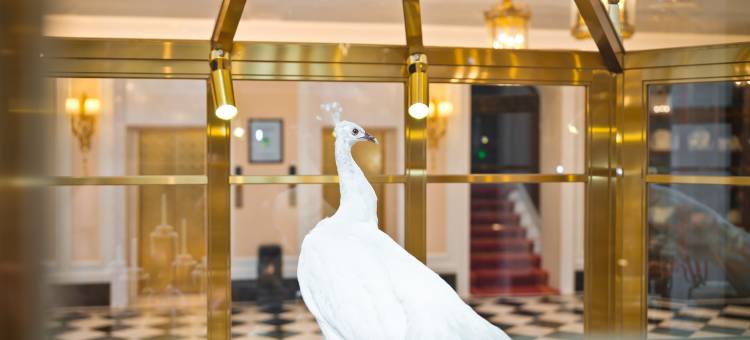 满洲里友谊宾馆(中苏金街步行街店)图片