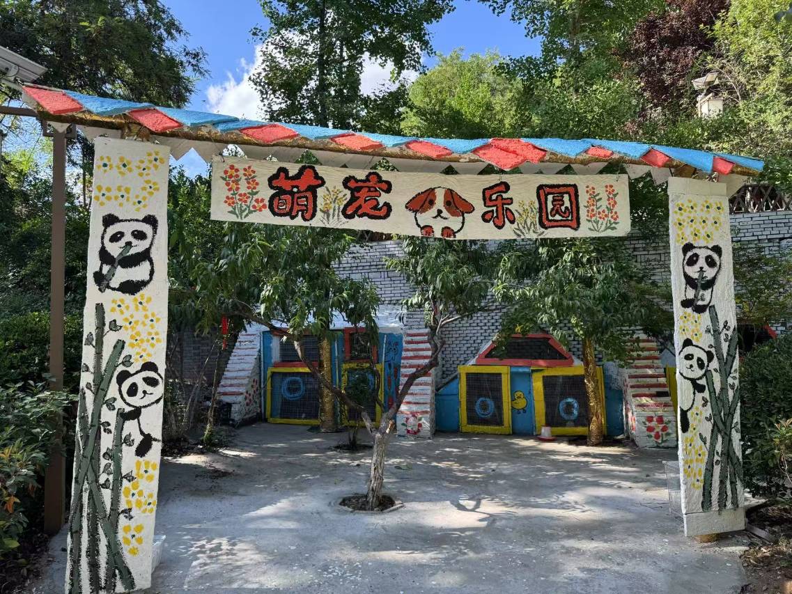 宝鸡九龙山锦园客栈山景别墅图片