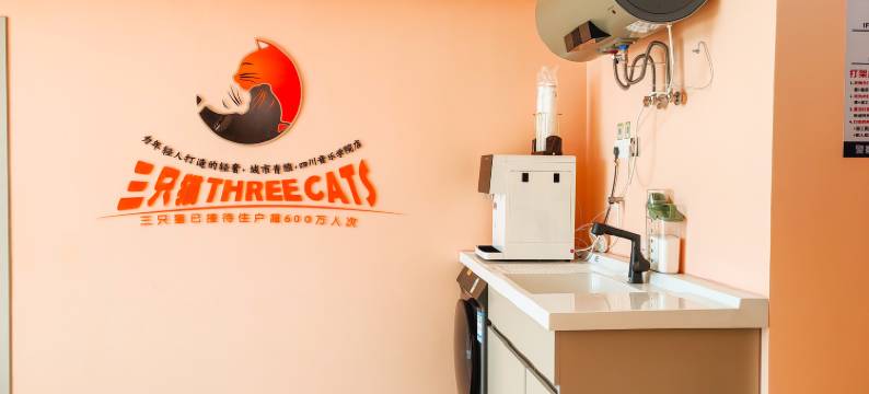 三只猫青年旅社(四川音乐学院店)图片