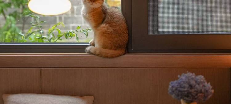 武当山云外山居(琼台景区店)图片