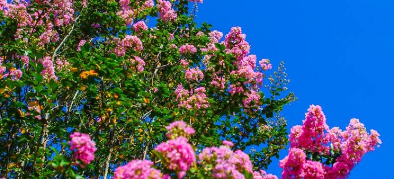 婺源探花·森氧秘境酒店图片