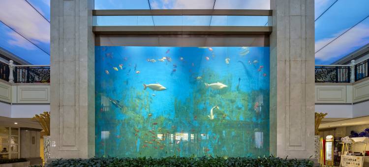 横店影视城丰景嘉丽大酒店图片