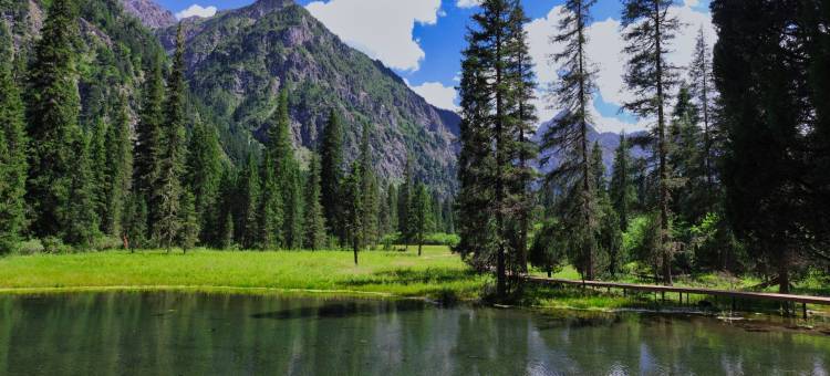 王朗大熊猫探秘营地图片