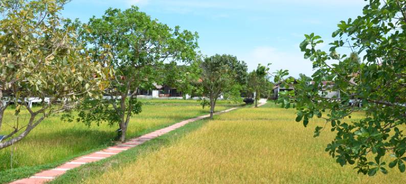 苏梅岛农夫精品度假村(Farmers Villa)图片