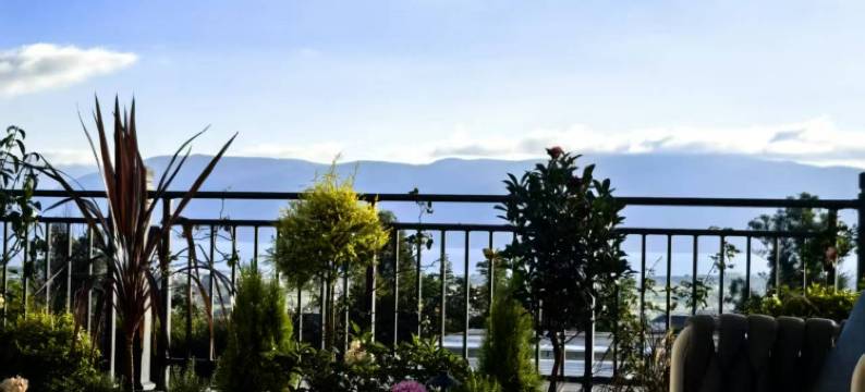 艾迪雅·半山｜Half Mountain Garden设计师观景度假民宿图片