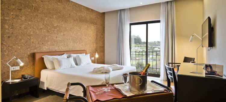 埃斯塔雷哈林肯酒店(Lam Hotel Estarreja)图片