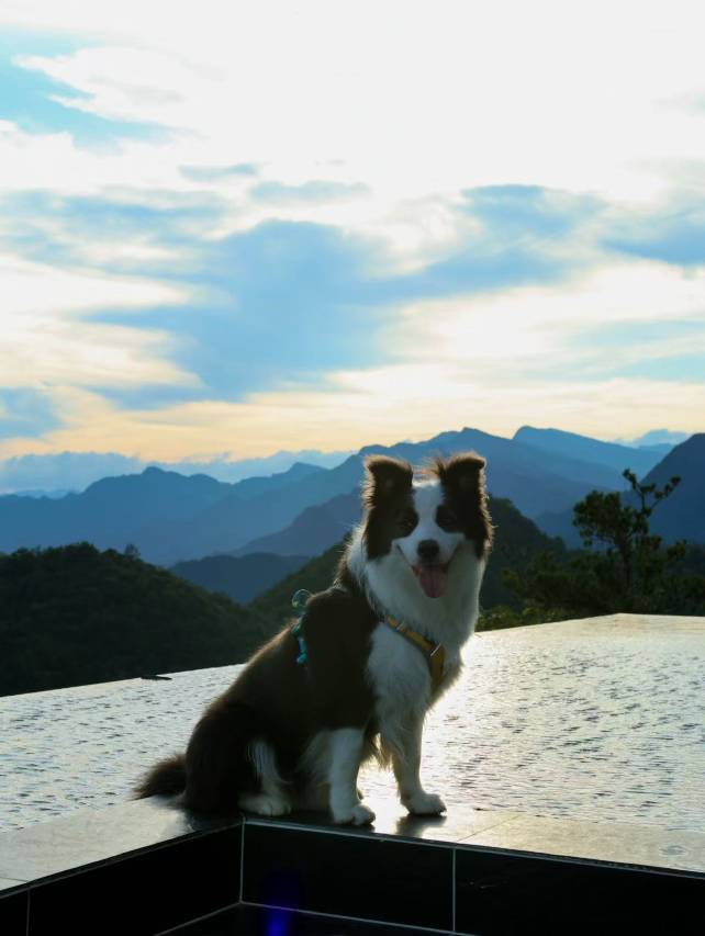恩施建始·云野山舍度假民宿图片
