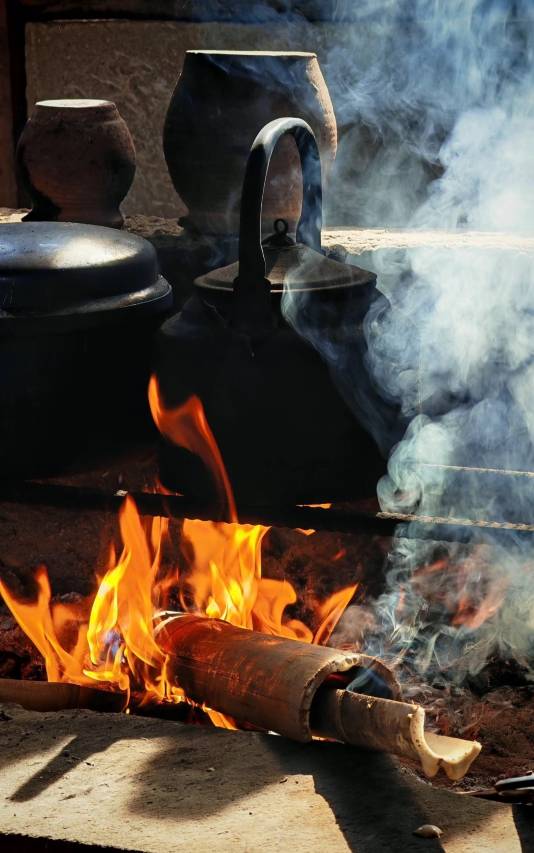 乔木星邸｜茶马道隐世木府图片