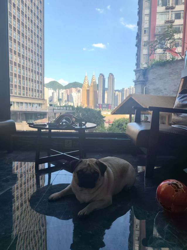 花筑·予雾酒店(重庆解放碑白象街店)图片