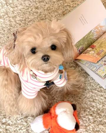 CityWalk●柏唐｜浔城美学设计师●慕酒店(九江火车站联盛快乐城店)图片