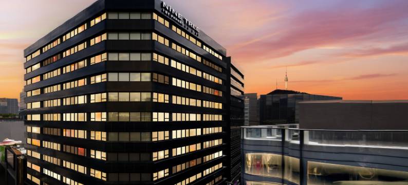 九树帕那斯首尔明洞 1(NINE TREE BY PARNAS SEOUL MYEONGDONG 1)图片