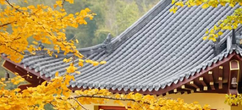 幻影星际酒店(衡阳衡南县人民政府南岳机场店)图片