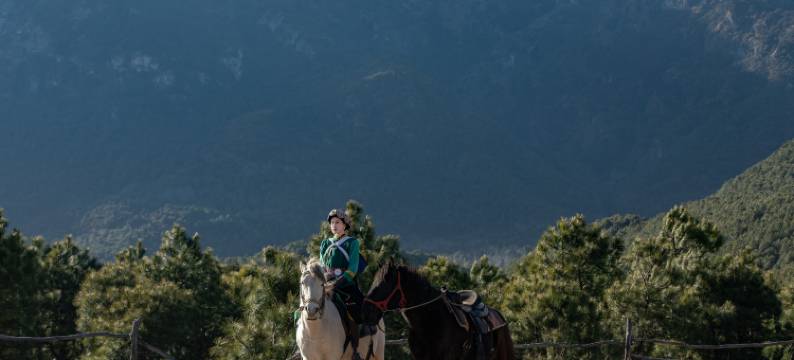听山隐尚|TING SHAN YIN SHANG|日照金山雪山观景民宿(雪嵩村店)图片