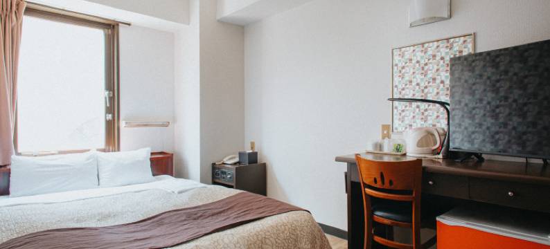 滨松车站酒店(Hamamatsu Station Hotel)图片