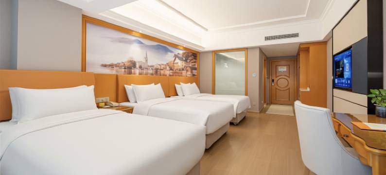 维也纳酒店(洛阳九都路万达店)图片