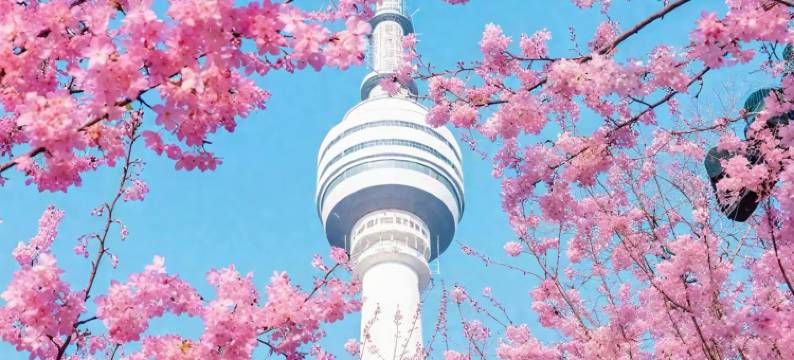 美豪丽致旗舰酒店 (武汉国际广场江汉路店)图片