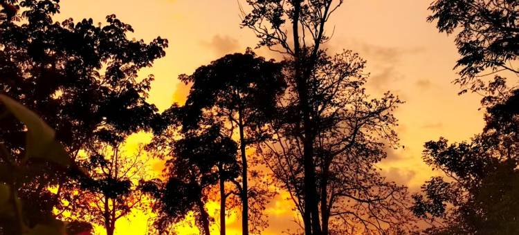 朗悦河景度假酒店(LARNG YAY  Riverview Resort Hotel)图片