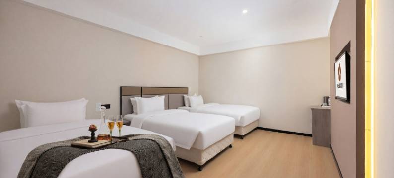 伊尔假日酒店(廊坊市政府店)图片