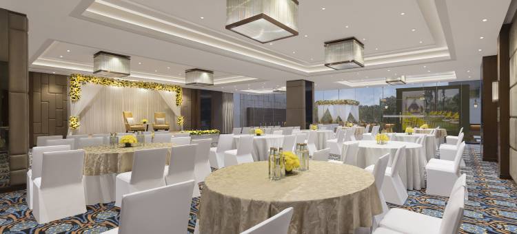 勒克瑙格姆提纳加诺富特酒店(Novotel Lucknow Gomti Nagar)图片