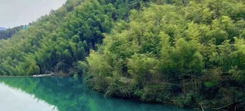 莫干山·栖山南苑度假屋图片