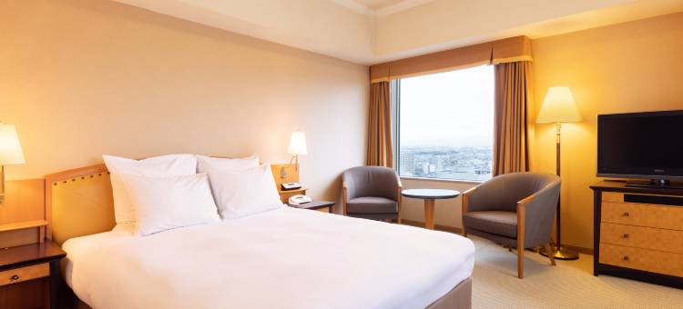 富山全日空皇冠假日酒店 by IHG(ANA Crowne Plaza Toyama by IHG)图片