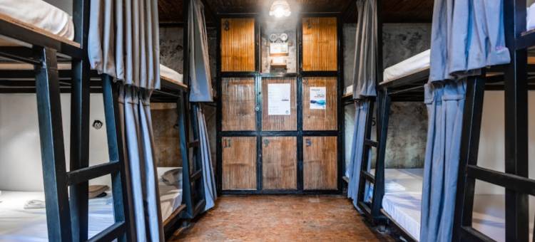 锡亚高岛疯狂猴子青年旅馆(MAD Monkey Hostel Siargao)图片